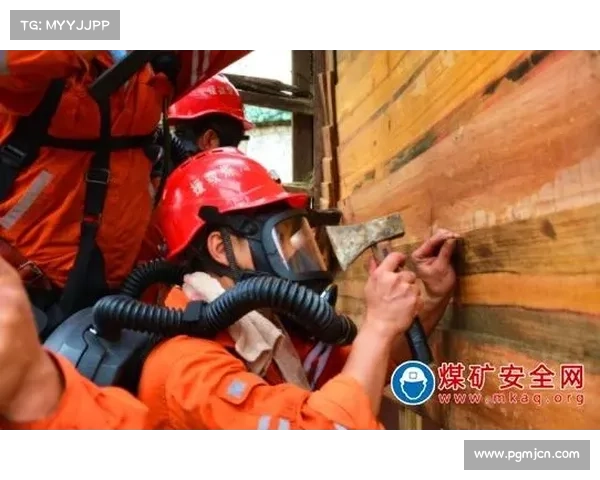 板球器材安全新规发布护具冲击吸收标准提升40%9月起强制检测认证 板球器材安全新规发布护具冲击吸收标准提升40%9月起强制检测认证